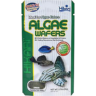 Algae-wafers