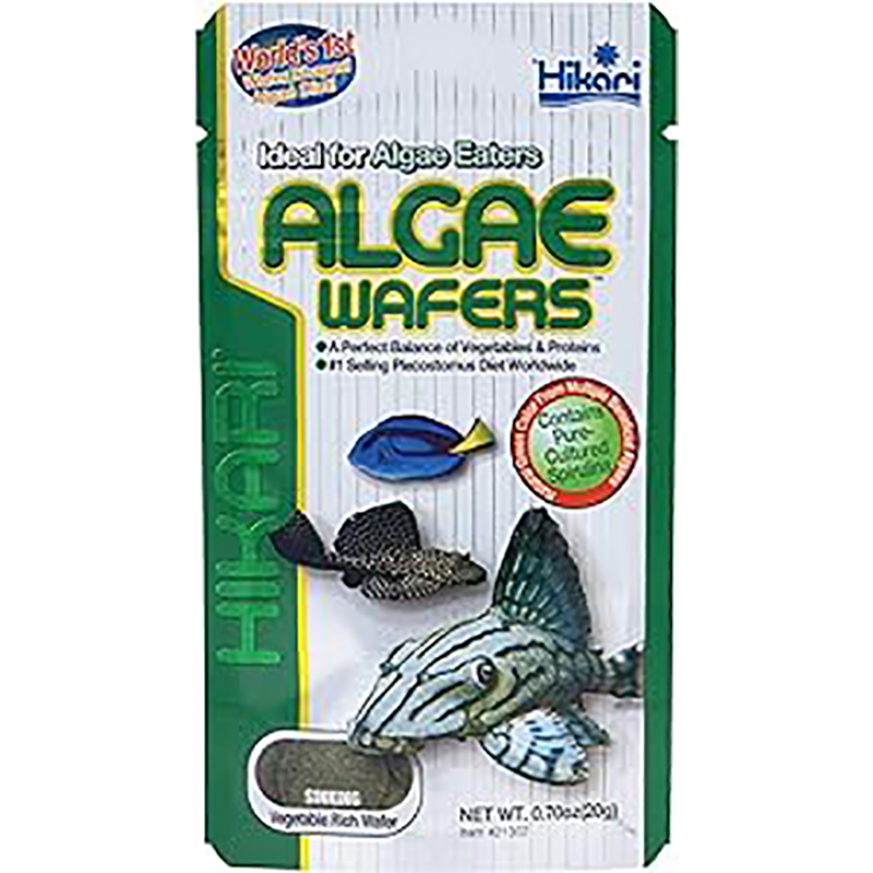 Algae-wafers